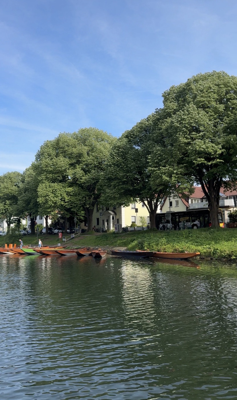 Stocherkähne am Anleger Bismarckstraße unter der Platanenallee